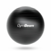 Fitlopta FitBall 65 cm - GymBeam