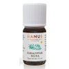 HANUS SILICA EUKALYPTUS ole 1x10 ml