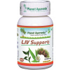 Planet Ayurveda Liv Support pečeň kapsule 60 kapsúl