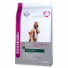 Eukanuba Cocker Spaniel 7,5kg