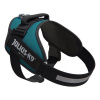 Julius-K9 IDC Powerharness Petrol Green - postroj najvyššej kvality, postroj pre psa, modrozelená farba - 1