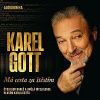 BARES IGOR A UMELA INTELIGENCE GOTT: MA CESTA ZA STESTIM (MP3-CD) 4xMP3