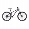Kellys Gibon 10 2023