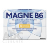 MAGNE B6 sol por (amp.skl.hnedá) 10x10 ml