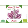PERILA KROVITÁ plod kvapky (tinktúra) 50ml | Bylinné kvapky