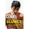 Čekat na slunce
