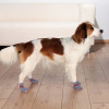 TRIXIE Protiskluzové šedé ponožky, 2 ks pro psy S-M (border kólie)