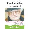 E-kniha Prvá vodka po smrti - Ľubomír Feldek