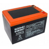 GOOWEI ENERGY 12V 15Ah 6-DZM-12