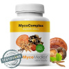 MYCOMEDICA MycoComplex Vegan 90 kapslí