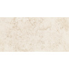 Arte FLORAL STONE 29,8x59,8 obklad