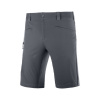 Salomon Wayfarer Shorts M ebony LC1489600 50
