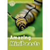 Amazing Minibeasts + mp3 Pack - Cheryl Palin