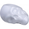 Mistička Memento Mori lebka 24 cm biela