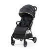 Egg Babystyle Športový kočík EggZ 2025 Varianta: Carbonite