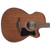 Ibanez VC44CE-OPN Open Pore Natural gitara