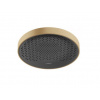 Hansgrohe 26231140 Rainfinity 360 1jet Hlavová sprcha pod strop, kartáčovaný bronz HG 26231140