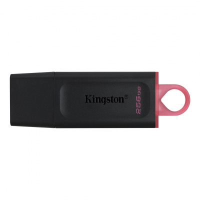 KINGSTON T Kingston DataTraveler Exodia/256GB/USB 3.2/USB-A/Růžová PR1-DTX/256GB