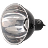 Repti Planet Dome Lamp 14 cm