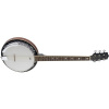 Stagg BJM30 G