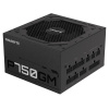 Gigabyte P750GM zdroj 750 W 20+4 pin ATX ATX Čierna (GP-P750GM)