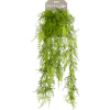 Umelá rastlina Asparagus plumosus hanging bush 65 cm