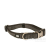 DUVO+ obojok EXPLOR NORTH nylon
