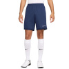 Šortky Nike Dri-Fit Academy 25 M FZ9776 410 XS