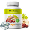 MYCOMEDICA MycoSomat 90 kapslí