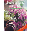 Izbové a balkónové rastliny