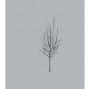 Ones and Sixes - Low LP