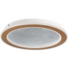 Rabalux Efrael stropné svietidlo 1x24 W biela 71281