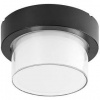 LED stropné svietidlo Rabalux Durbe 7246 (7246) čierne