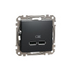 Schneider Electric Sedna Zásuvka USB, 2× USB A, termoplast, antracit, SDD114401