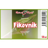 Fíkovník - tinktura z pupenů 50 ml - gemmoterapie - doplněk stravy
