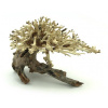 Bonsai Driftwood 20 x 15 x 16 cm No.10