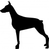 Samolepka pes - Dobrman Barva: Černá, Rozměry samolepky ( šířka x výška ): 10 x 9,9 cm