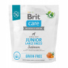 Brit Care Grain-free Junior Large Breed Salmon 1 kg