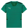 Puma Cup Jersey Top Junior Pepper Green 14 (2XL)