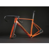 Trigon AR01 Speed-Orange 2026