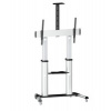 Reflecta TV STAND 100VC (60-100