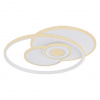 Globo 48442-50