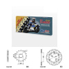 Řetězová sada s ČZ HX-ring GOLD YAMAHA YFM 660 R Raptor rok 01-05