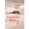 V prachu ciest