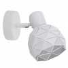 Reus 1 White Spot LP-8069/1WS WH (Reus 1 White Spot LP-8069/1WS WH)