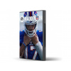 Madden NFL 24