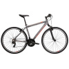 Kross Evado 1.0 GR