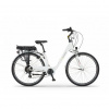 Dámsky Elektrobicykel Ecobike Traffic 17