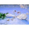 Diamantový obraz Labutia rodina