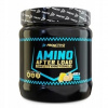 Viaczložkový prášok ProActive Amino After 400 g Lemon ProActive 400 g citrónový